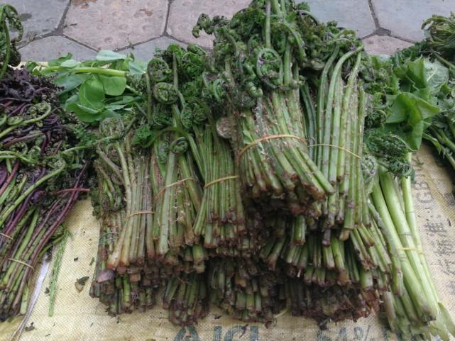 吉林,探寻历史底蕴,传承文化瑰宝,展望地理新篇