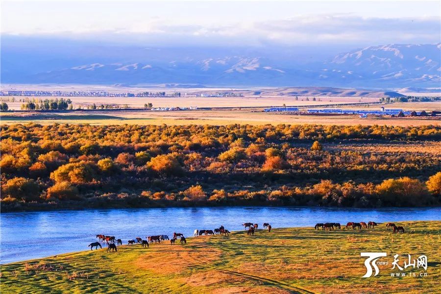 新疆秘境之旅，新疆奇遇记